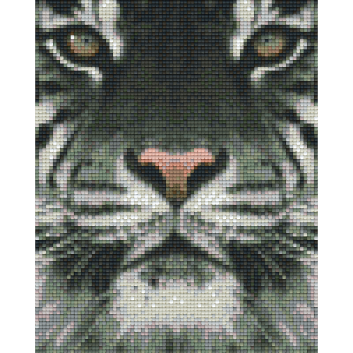 Tiger 34130